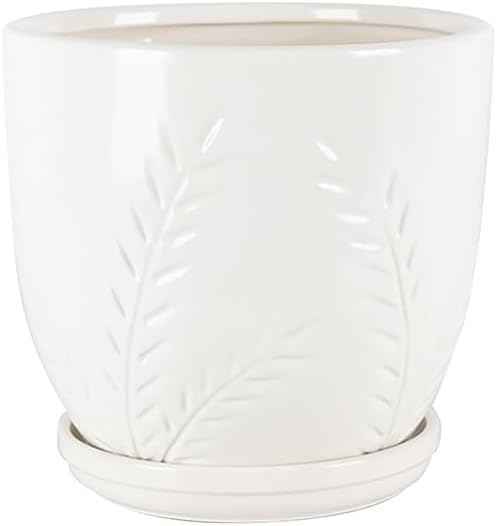 Aspen & Fig White 8 Inch Indoor Ceramic Plant Pot with an Attached Saucer and Drainage Hole for House Plants, Herbs, Flowers, Succulent Plants, Snake Plants, Gifts for Mom, Standard Pot