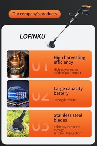 Cordless Weed Wacker,Electric Weed Eater,Grass Trimmer Cordless,2 Batteries,Lightweight and Foldable Design,Weed Erimmer,Black