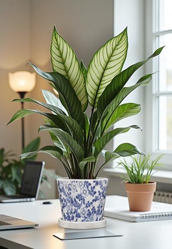 Ceramic Pot for Plants 5.5 inch Blue and White Pot for Plants Small