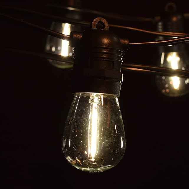 Hometown Evolution, Inc. 100' E26 Commercial LED Outdoor String Lights (100 Foot 50 Socket, S14 LED Filament 1 Watt Light Bulbs)