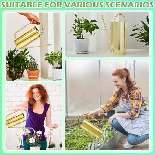 Watering Can Outdoor, 50 oz/1.5L Watering Can with Long Spout and Handle, Stainless Steel Garden Watering Pot for Outdoor and Indoor Plants