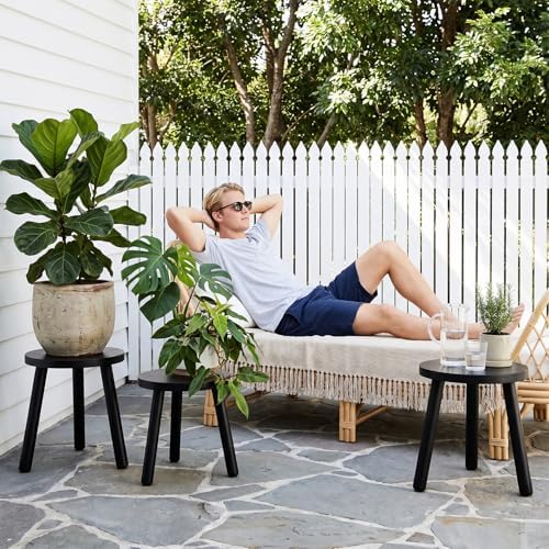 Wood Plant Stands Indoor, Black Plant Stand Modern Plant Table for