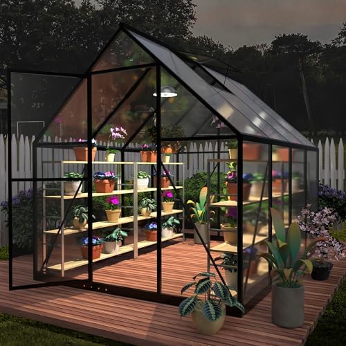 6x6FT Small Green House for Outside, Heavy Duty Polycarbonate Greenhouse Kit with Window, Walk-in Mini Garden House, Ideal Winter Greenhouses for Backyard Outdoor Indoor