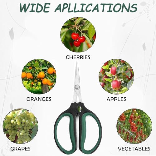 Hydroponic 2-Pack Bonsai Scissors and Plant Trimming Shears Set - Stainless Steel Pruning Shears for Indoor Gardening, Succulent Harvest, and Precision Plant Care