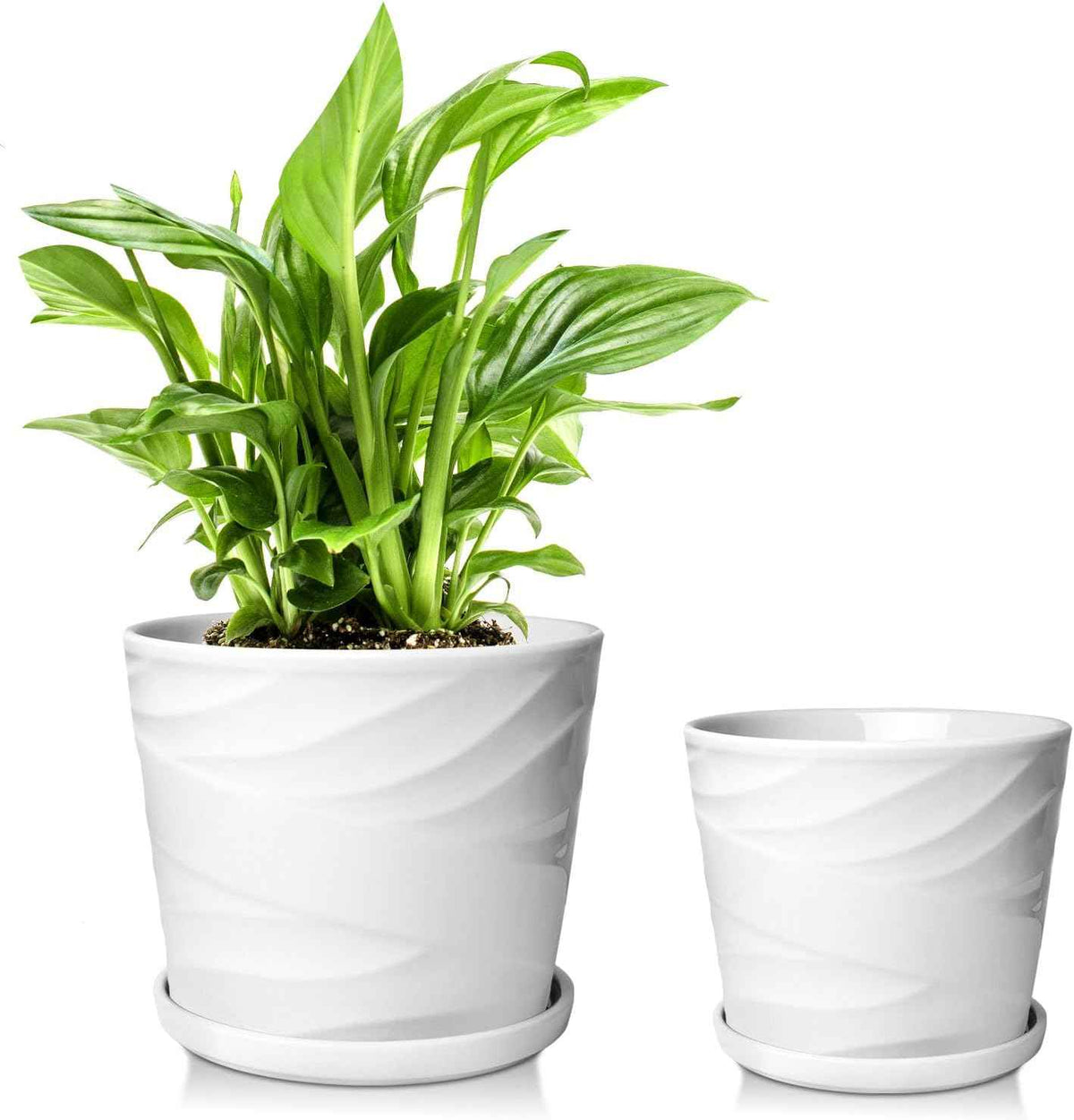 6.7 + 5.5 Inch Plant Pot, Ceramic Planter with Drainage and Saucer,Ceramic Pots for Plants, Indoor Plant pots,Succulent Orchid Flower Pot(Pure White)