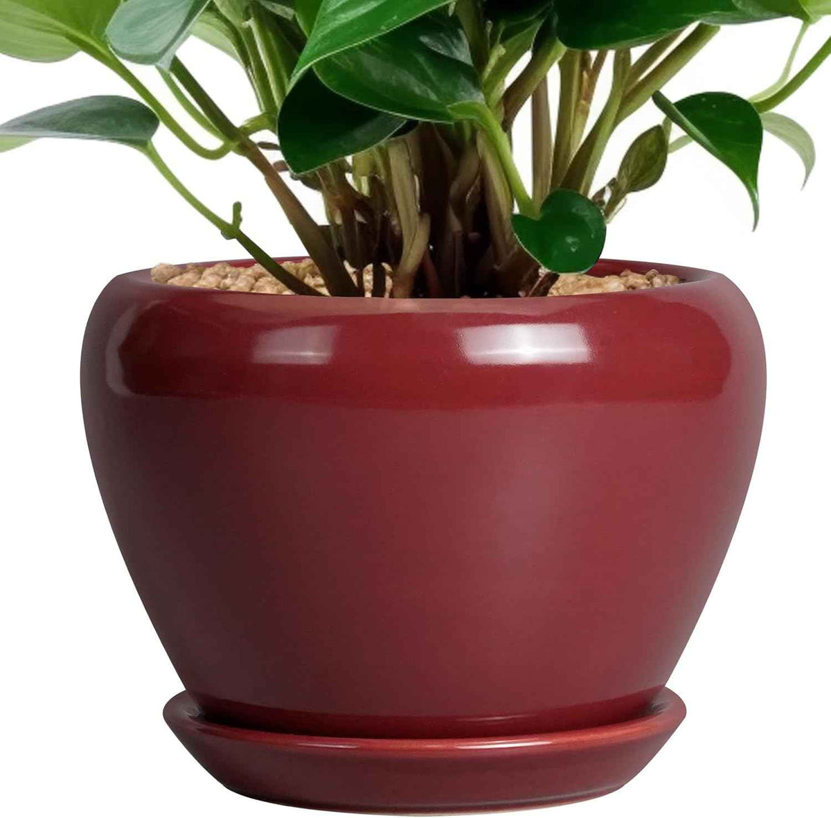 Ceramic Pot for Plants - 6 Inch Plant Pot Indoor with Drainage Hole and Saucer Succulent Outdoor Planter Round Flower Pot for House Patio Decor Red