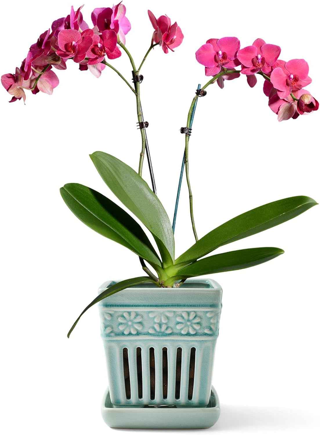 Orchid Pots with Holes | 5" Ceramic Orchid Planter with Separate Saucer and Drainage Holes | Crackle Glazed Pottery Small Flower Pot for Repotting Orchids(Blue)