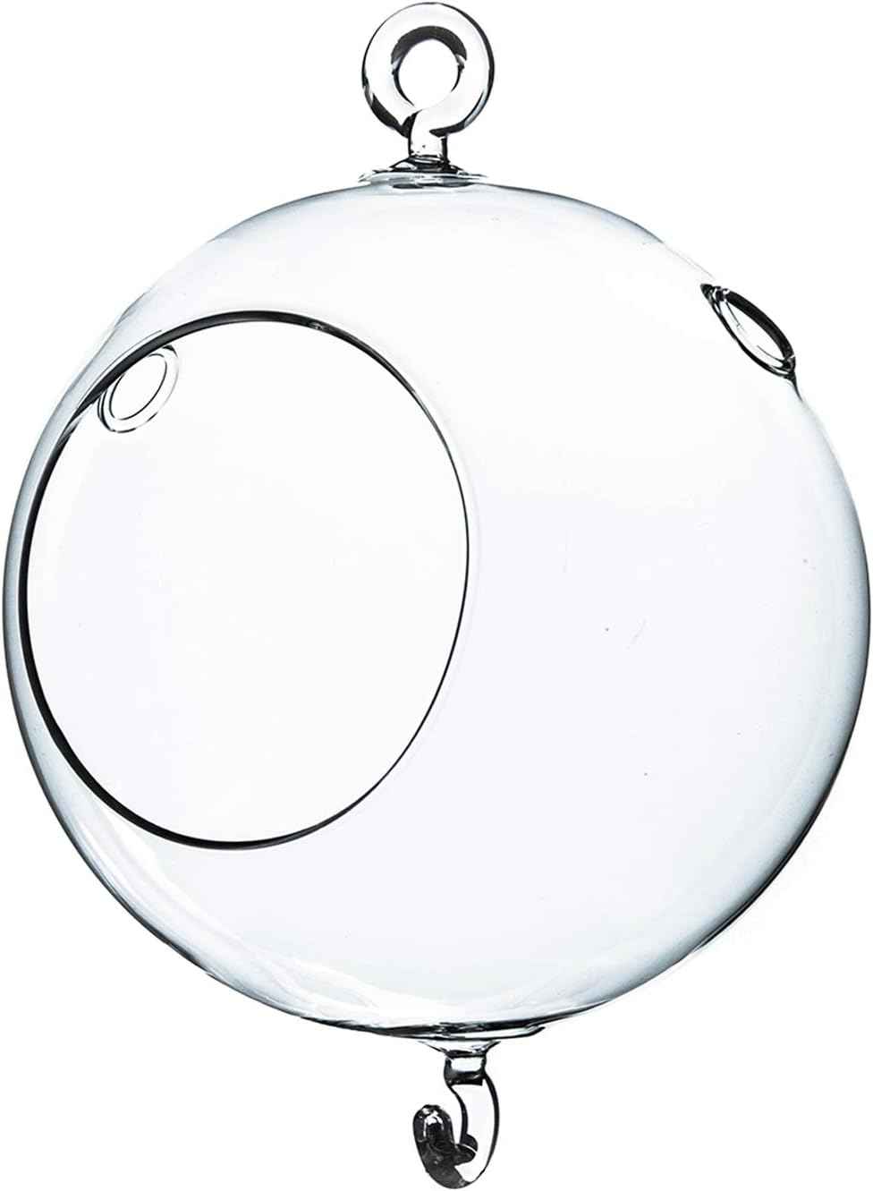 WGV Hanging Terrarium Globe, Width 5", Height 7", Double Hook, DIY Air Succulent Planter, Clear Glass Vase Orb, Candle Holder for Windowsill Outdoor Garden Decor, 1 Piece