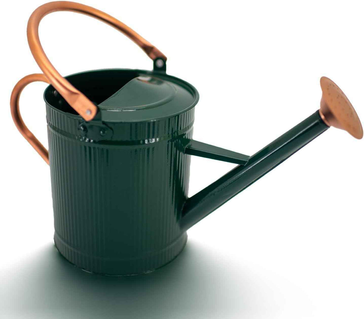 1 Gallon Watering Can, Plant Wate Can, Metal Watering Can with Removable Spout, Galvanized Watering jug, Nice Green Water Can for Indoor and Outdoor use