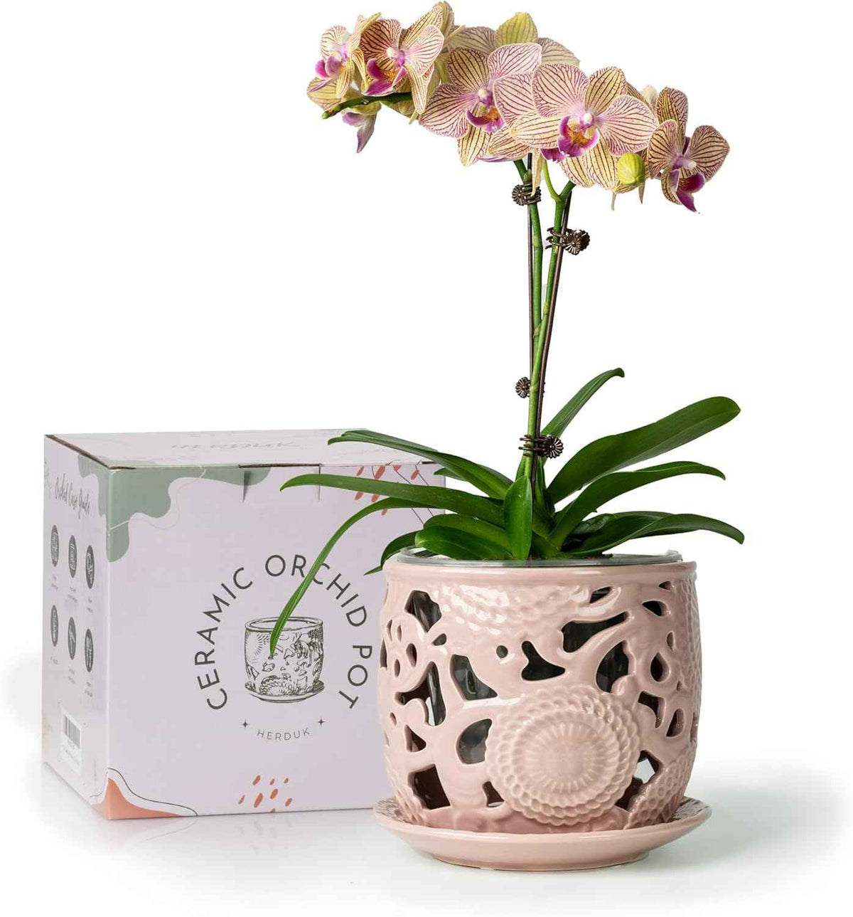 HERDUK Ceramic Orchid Pot, Orchid Pots with Drainage Holes & Saucer 6.5 Inch,Orchid Pot for Repotting Indoor, Orchid Containers with Precise Aeration & Drainage