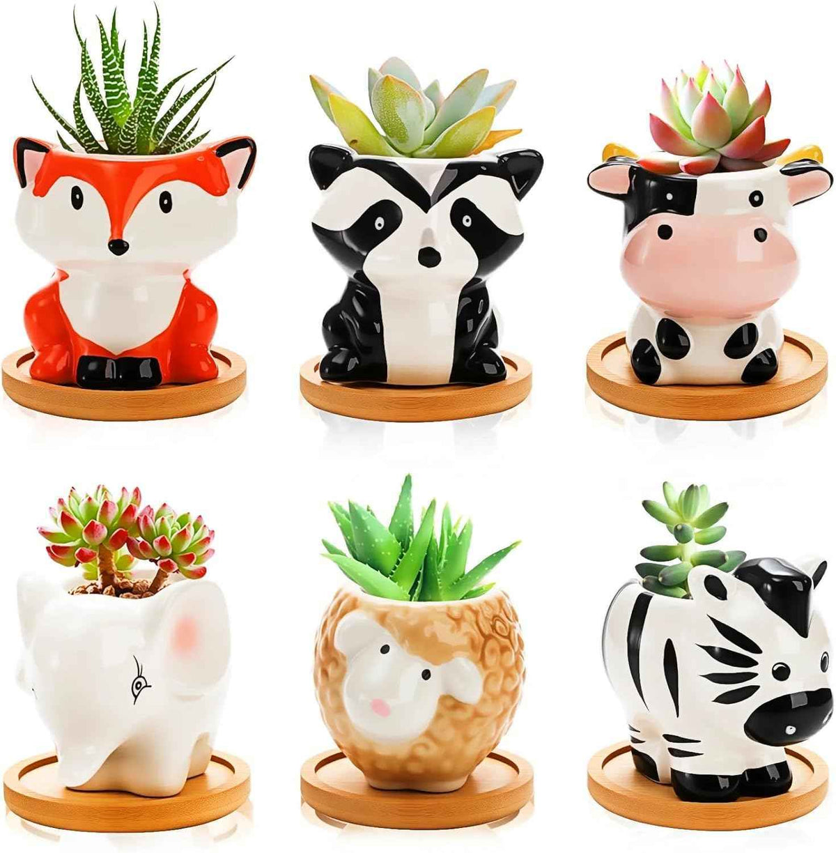 Pumtus 6 Pack Small Succulent Pots with Drainage Hole, 3 Inch Cute Ceramic Animal Planter with Saucer, Unique Air Plant Holder, Desktop Plant Flower Pot for Indoor Plants, Cactus, Garden, Home Decor