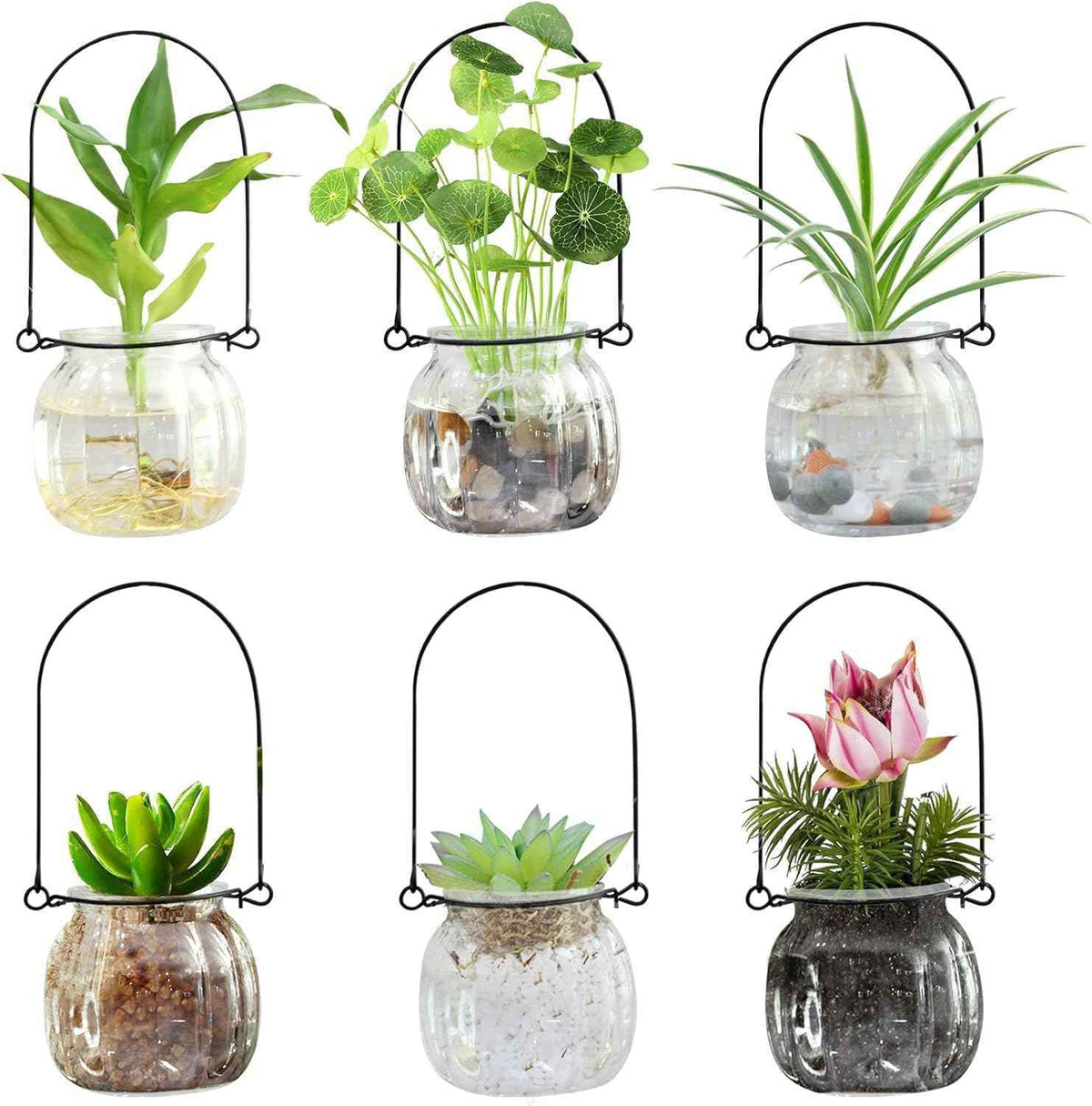 XUNSAIL Terrarium Plants Glass Air Plant Hanging Terrarium Plants Glass Home Decor Vase Wall Hanging Pots (6 PCS Air Plant