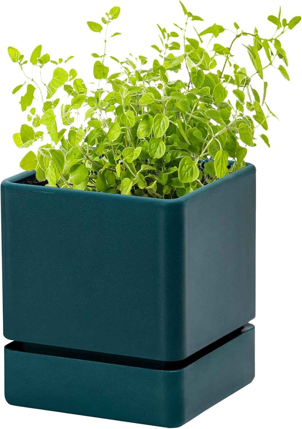 4 Inch Herb Planter Pot, Plastic Planter with Drainage Holes and Saucer, Modern Decorative Gardening Pot for Indoor Plants, Flowers, Herbs, Succulents, Green, Set of 1, 76-Y-C-1