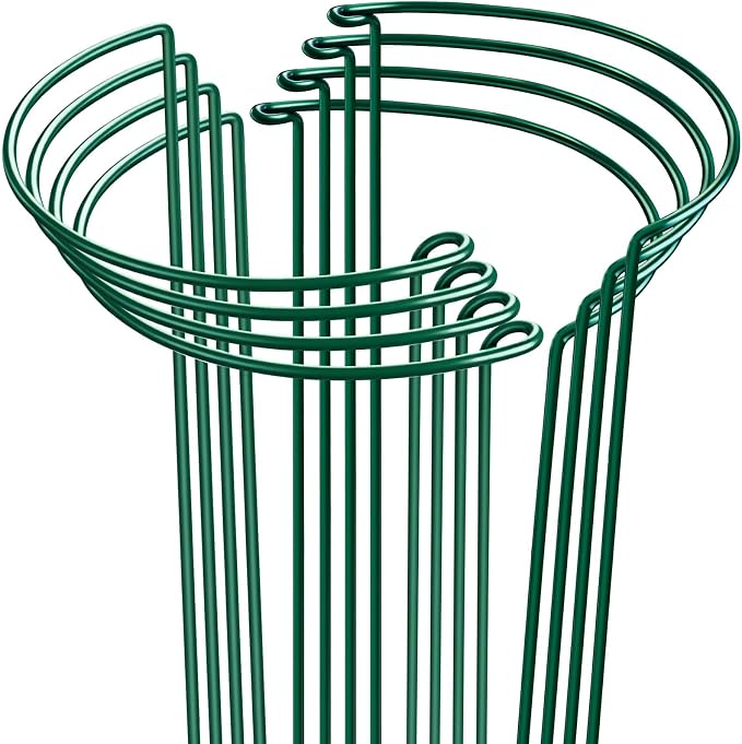 Half-Round Metal Plant Support Stakes – 8 Pack - Field & Nook