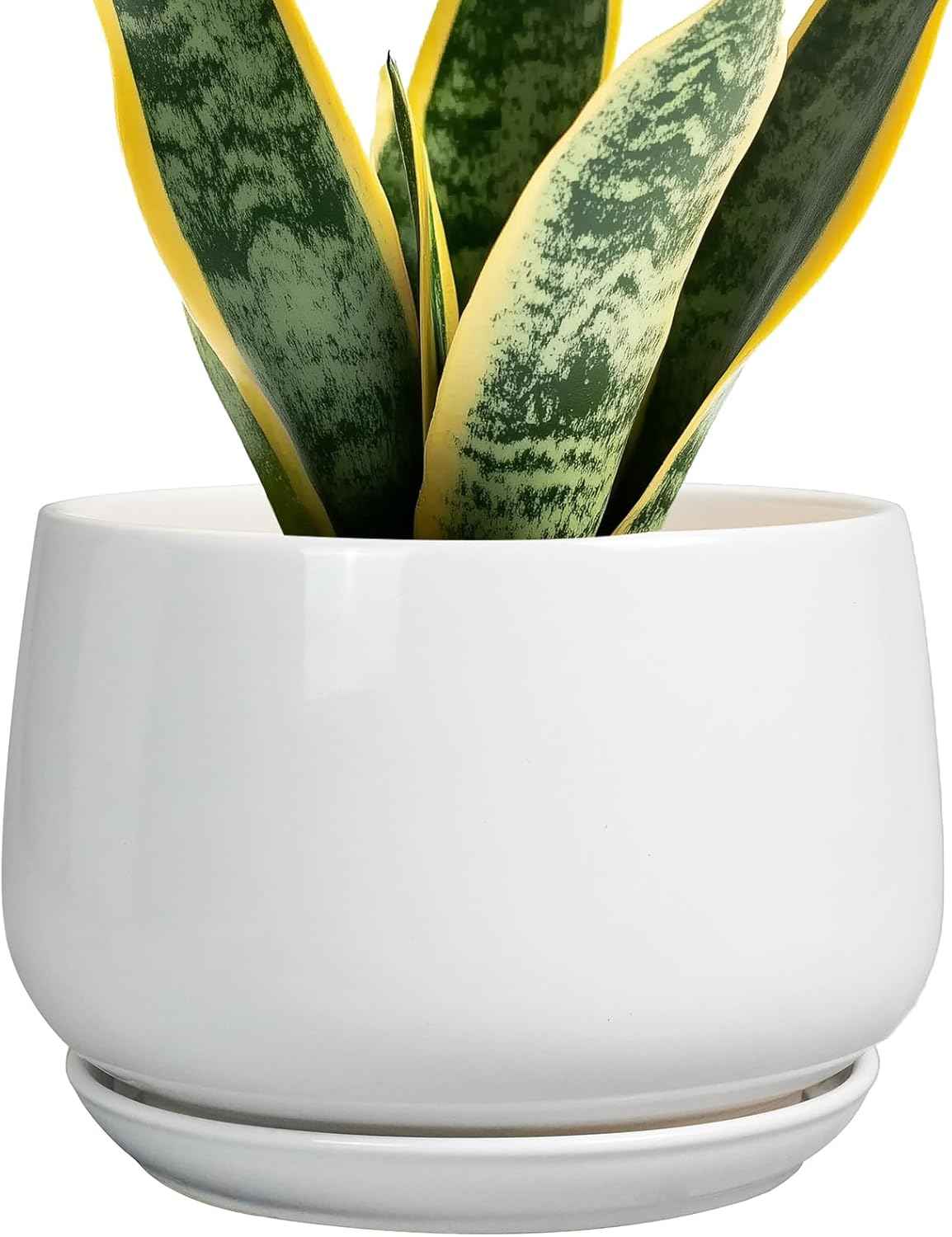 G EPGardening Ceramic Pots for Plants - 7 Inch Planter for Indoor Plants, Round Flower Pots with Drainage and Saucer, Modern Outdoor Planter, Garden Decor, Home Gifts, White
