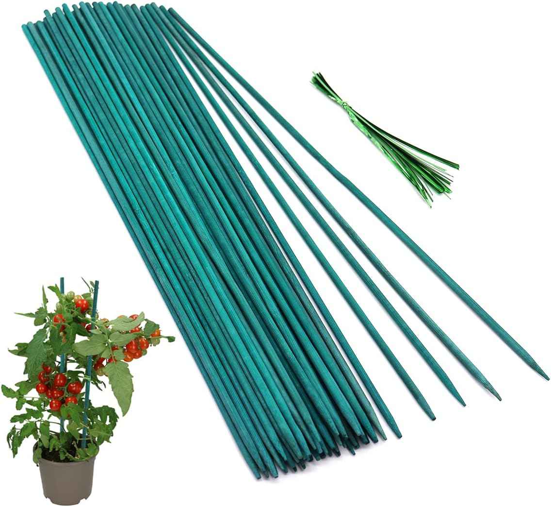 50 Pcs Plant Sticks Green Plant Stakes, Plant Support Garden Stakes for Indoor and Outdoor Plants, GAGINANG Sturdy Garden Wood Bamboo Sticks, Floral Plant Stakes for Garden Potted Plants(15 Inches)