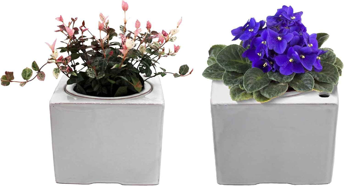 2-Pack Ceramic African Violet Self Watering Pot 6 Inch Square Pot 3.5 Inch Innter Pot Easy Fill Water Reservoir White