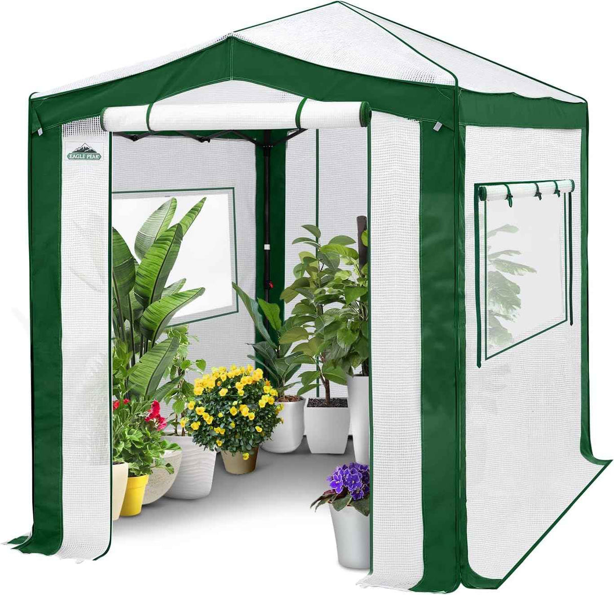 EAGLE PEAK 8x6 Portable Walk in Greenhouse with Polyester Reinforced Corners, Instant Pop Up Indoor Outdoor Gardening Green House, Roll Up Zipper Entry Doors and Mesh Windows, Green/White