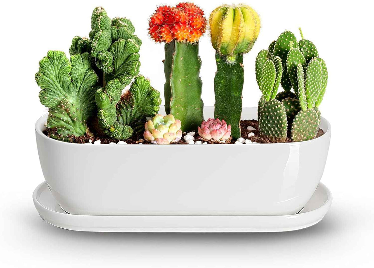 E-liu Oval Ceramic Planter Pot with Drainage Hole Saucers 14 Inch Succulents Planter Home Decor for Indoor Outdoor Plants Herb Cactus with 3 Mesh Pads, Plants Not Included