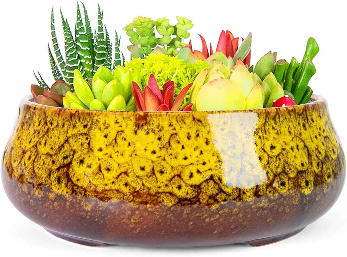 ARTKETTY Succulent Pots - 8 Inch Plant Pot, Large Bonsai Pots with Drainage, Ceramic Planters for Indoor Outdoor Plants, Round Shallow Cactus Flower Plant Container Bowl Decorative Home Garden