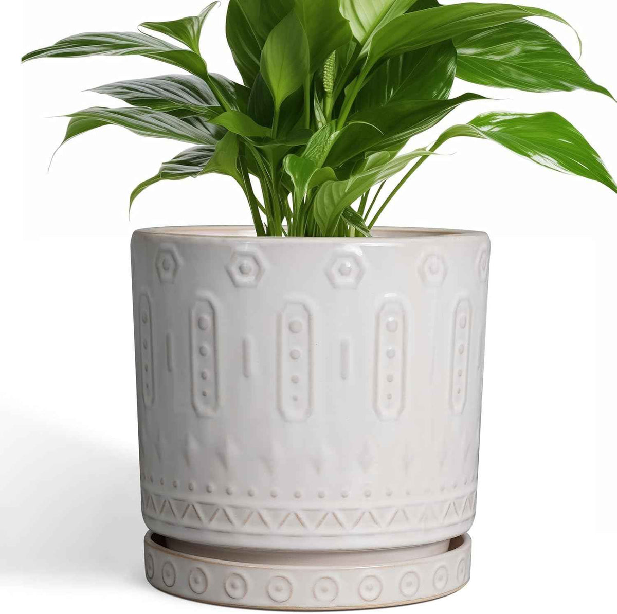 Ceramic Planter for Indoor Plants - 8 Inch Plant Pot Outdoor Flower Pot with Drainage Holes and Saucer Modern Round Planter Succulent Pot for Home Garden Decor White