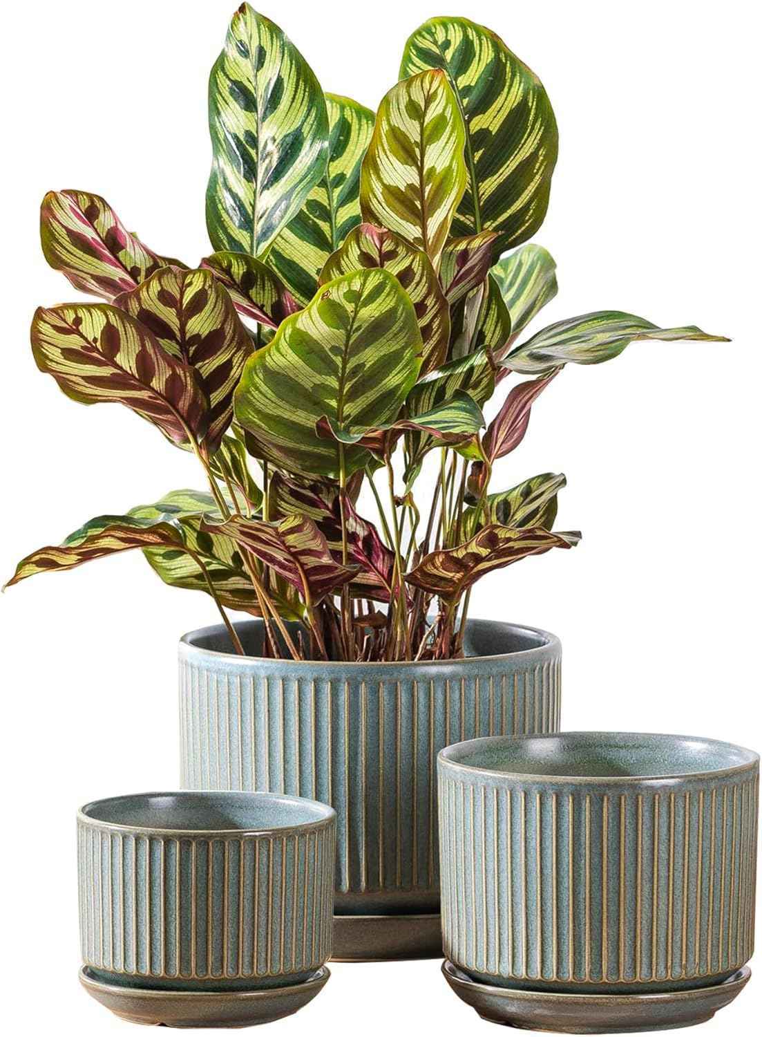 SURE YUESI Ceramic Plant Pots Set of 3, Indoor Outdoor Planters with Drainage Hole and Saucer, Ceramic Flower Pots for Indoor Plants, 4.3+5.5+6.8 Inch, Home, Garden, Patio and Office, Matte Green