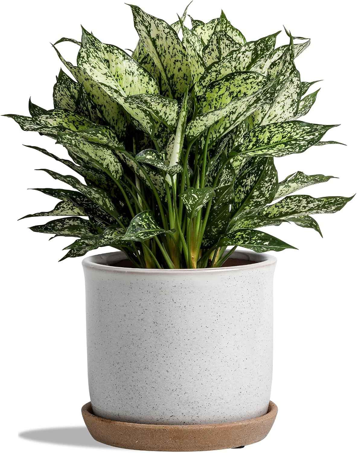 8 Inch Plant Pot: Ceramic Planter with Drainage Hole & Saucer for Indoor Outdoor Plants - Flowerpot with Bonded Tray for Home Office - Retro Style, Grey