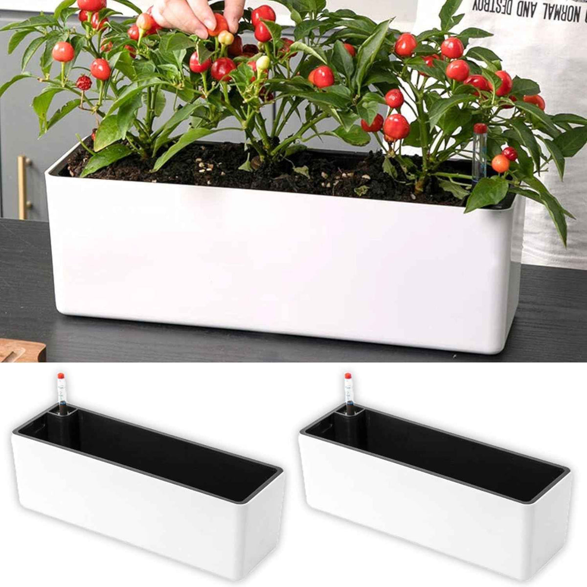 LaLaGreen Planter Box for Indoor Plants (16 Inch, 2 Pack) White Rectangular Self Watering Flower Pot, Large Window Boxes Planters with Drainage Decorative Modern Balcony Windowsill Herbs Home Garden
