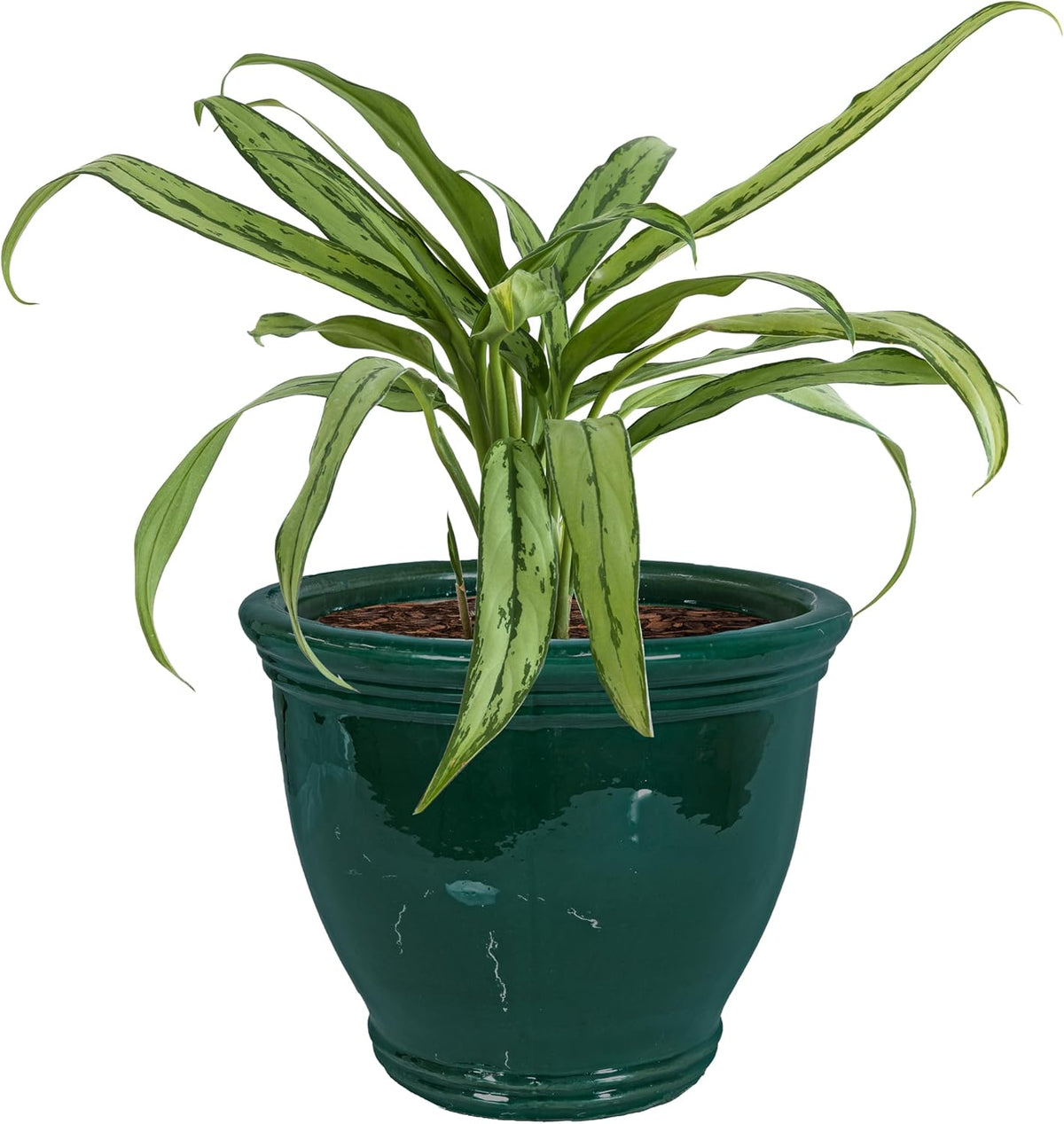 Sunnydaze Studio Large Ceramic Plant Pot - Round Outdoor Glazed Ceramic Planter Pot with Drainage - Dark Green - 15 in