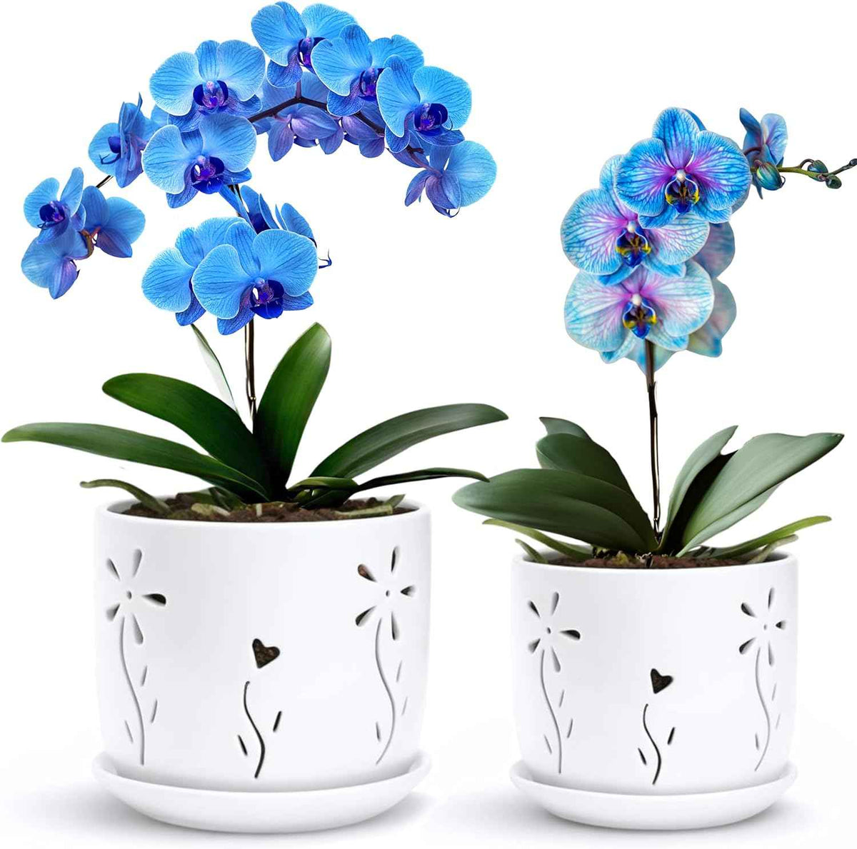 2 Pack, 5 + 6 Inch White Orchid Pots with Holes and Saucer, Ceramic Orchid Planters for Repotting with Drainage Holes and Tray, Plant Flower Pot containers for Orchid Indoor Outdoor