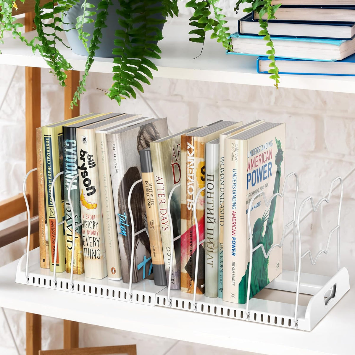 Simple Houseware Expandable Pan Rack, 10 Compartments, White