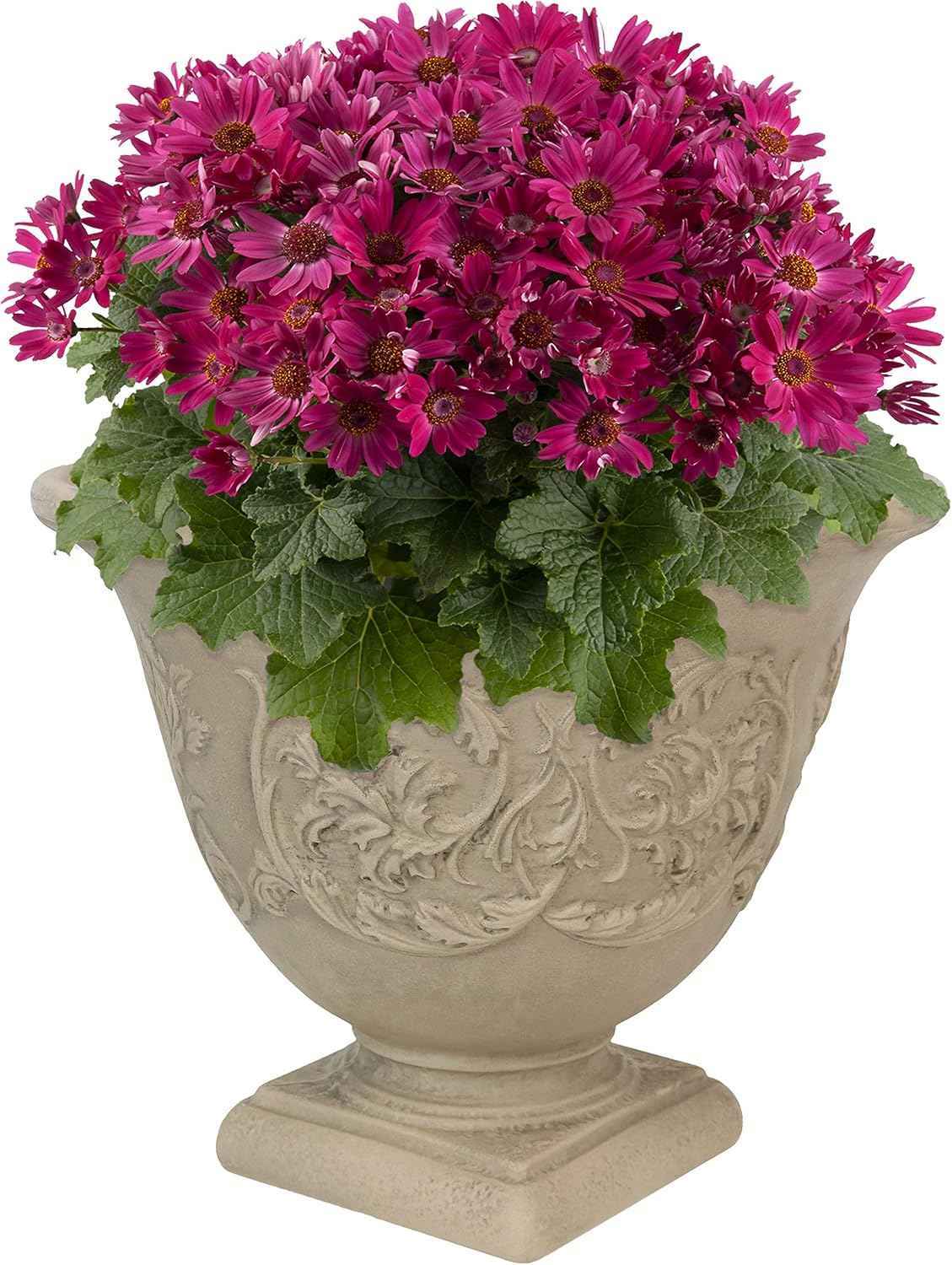 Sunnydaze 16-Inch Darcy Outdoor Pedestal Planter - Polyresin Large Round Plant Pot with Drillable Drainage Hole - Plastic Urn Planter for Outdoor Plants - Beige