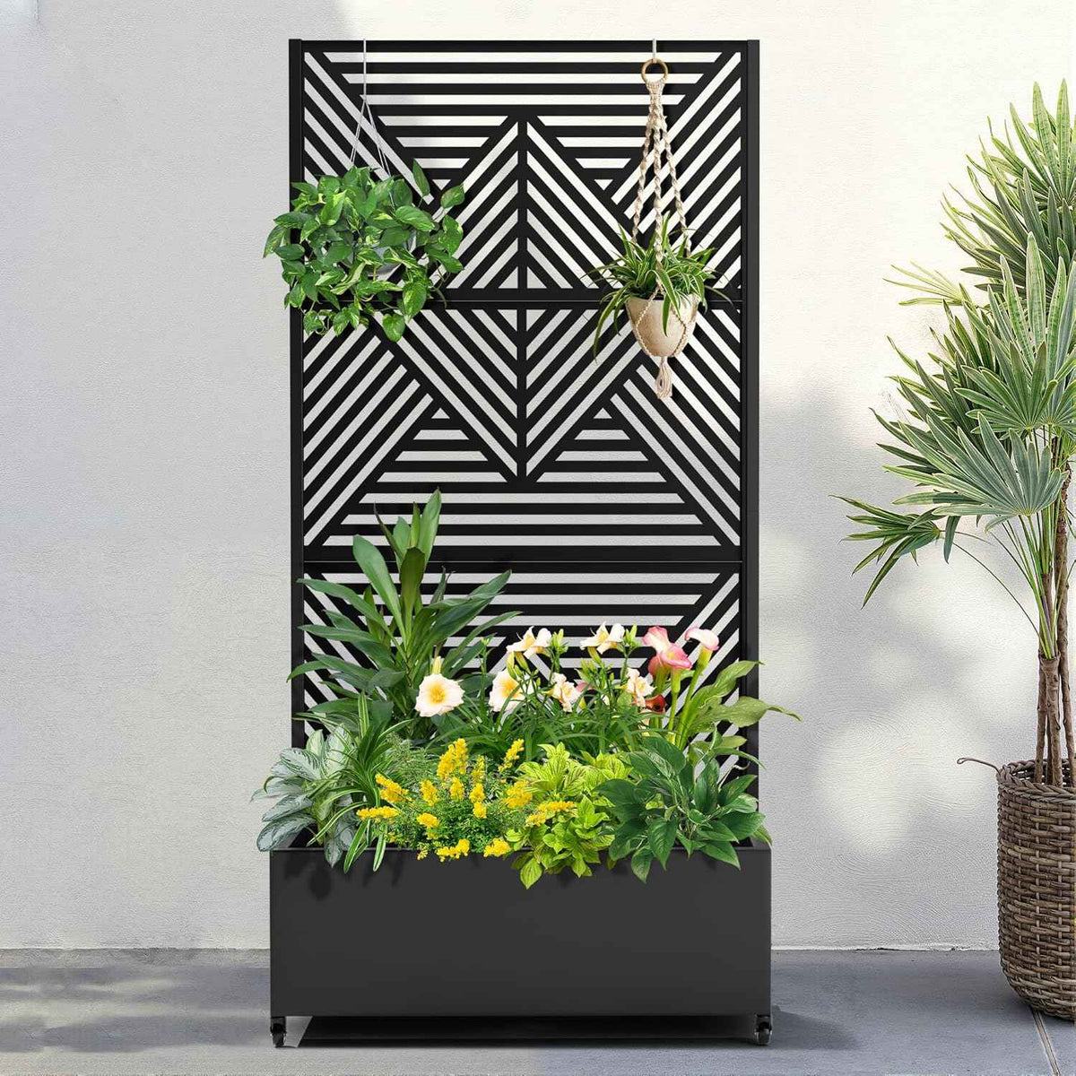 FENCY Metal Raised Garden Bed with Wheels and Trellis,73"x35"x16" Planter Box for Climbing Plants, Vegetables & Vines, Features Privacy Screen and Drainage Holes (Black-Modern)