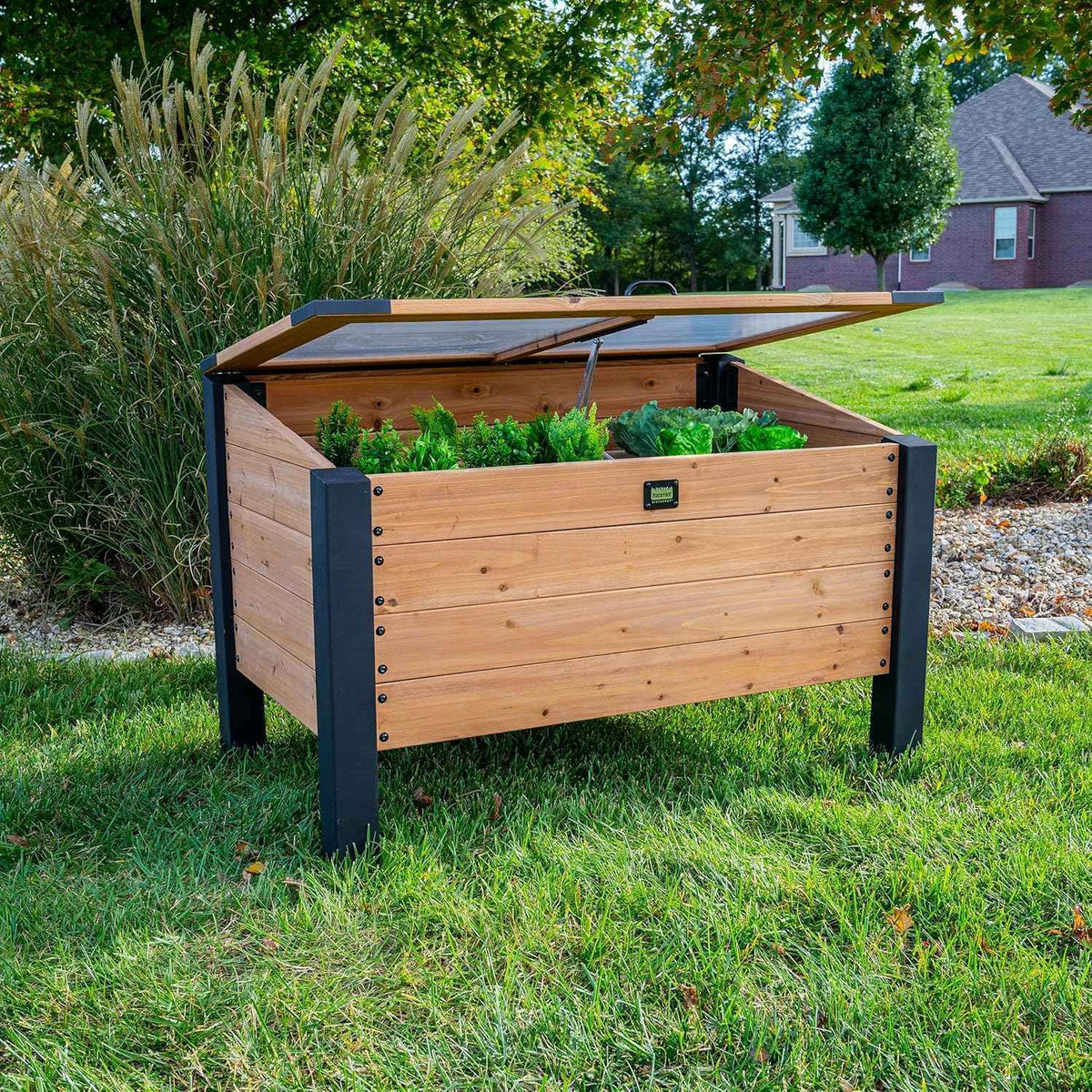 Backyard Discovery Aggie 4' x 2' Cedar Wood Cold Frame Portable Mini Greenhouse, Raised Garden Planter with Temperature-Activated Polycarbonate Lid, Mesh Drainage for Year-Round Outdoor Gardening