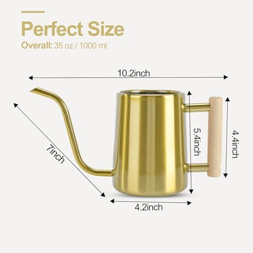 Watering Can Indoor Plants, 35 oz/1000 ml Metal Stainless Steel