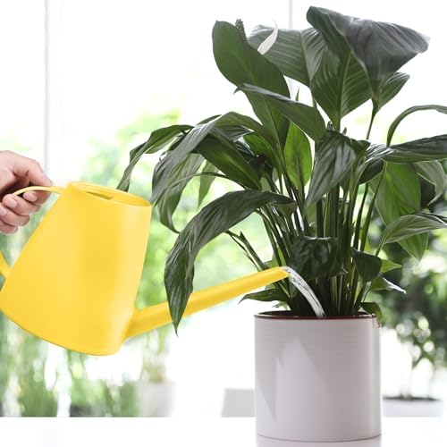 Plant Watering Can - Plastic Indoor and Outdoor - 1/2 Gallon - Yellow