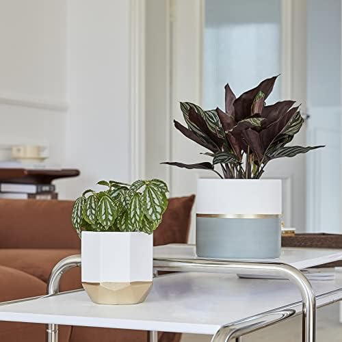LA Jolie Muse Ceramic Flower Pots, 6.7 & 5.4 Inch Indoor Plant Pot Set of 2