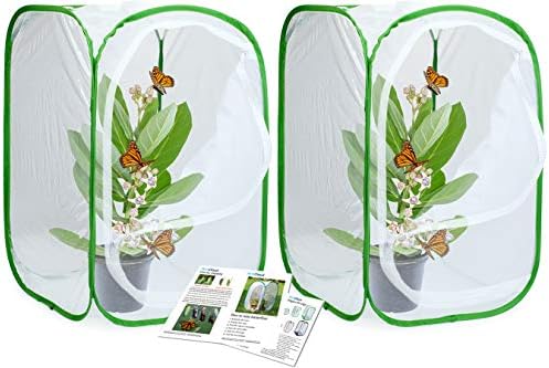 24" Insect and Monarch Butterfly Habitat Enclosure, Pack of 2