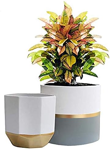 LA Jolie Muse Ceramic Flower Pots, 6.7 & 5.4 Inch Indoor Plant Pot Set of 2