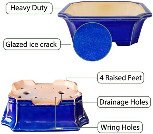 MUZHI Blue Bonsai Plant Pot 9.9” with Drip Saucer, Classic Glazed Ceramic Planter Container for Tree, Cactus, Succulent
