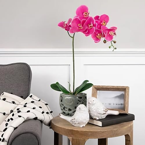 HERDUK Ceramic Orchid Pot with Drainage Holes & Saucer, 6.5 Inch, Indoor Orchid Containers with Precise Aeration & Drainage, Dark Gray