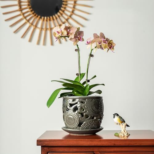 HERDUK Ceramic Orchid Pot with Drainage Holes & Saucer, 6.5 Inch, Indoor Orchid Containers with Precise Aeration & Drainage, Dark Gray