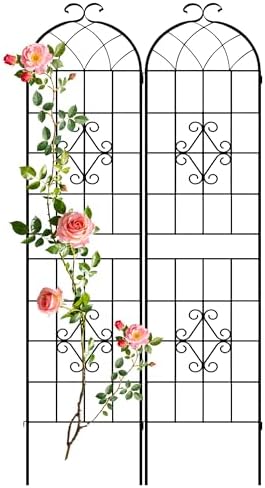 LZRS 78.4 x 40in Rustic Iron Arch Decoration Garden Trellis with Black