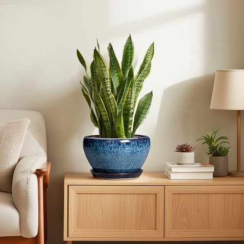 Ceramicfor Ceramic Pots for Plants - 9 Inch Plant Pot Indoor with