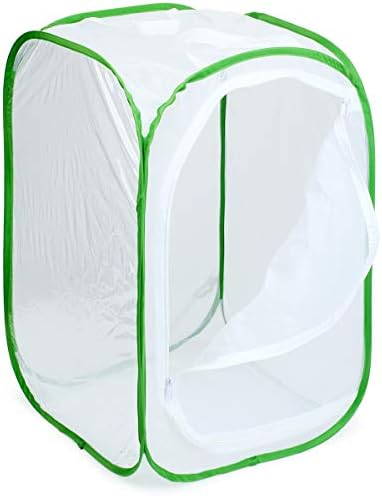 24" Insect and Monarch Butterfly Habitat Enclosure, Pack of 2