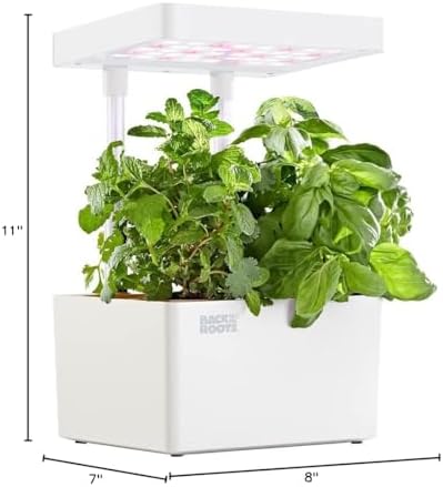 Back to the Roots v1.0 Hydroponic Grow Kit, 2022 Model