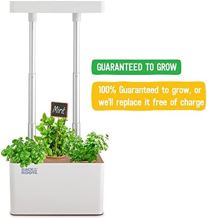 Back to the Roots v1.0 Hydroponic Grow Kit, 2022 Model