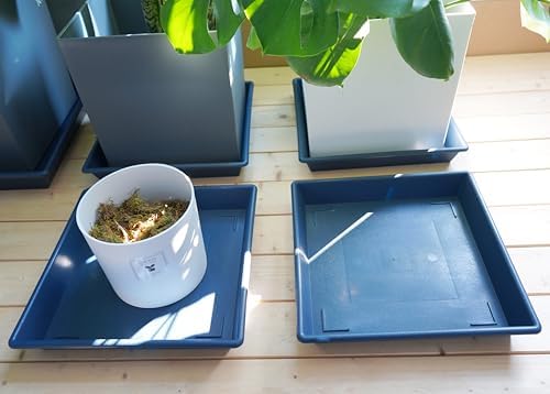 NIMYAU Square Plant Saucer 12 Inch 5 Pack, Plant Stand Plant Trays for