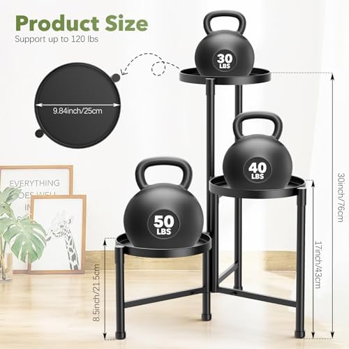 3 Tier Corner Plant Stand Indoor Outdoor, Metal, 10 Inch Wide Tray, Black