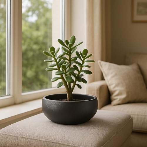 Lotus Bowl Planter, Lotus Bowls for Planting in Water Indoors,6.5-inch